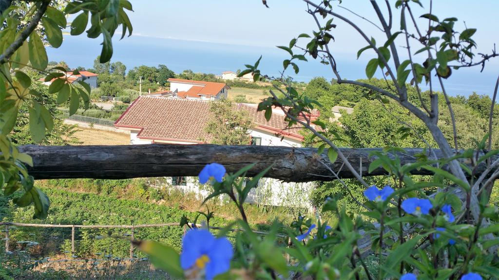 Agriturismo Agri Armonia San Lucido Dış mekan fotoğraf