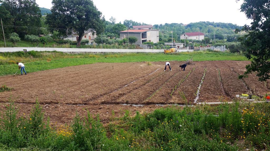 Agriturismo Agri Armonia San Lucido Dış mekan fotoğraf